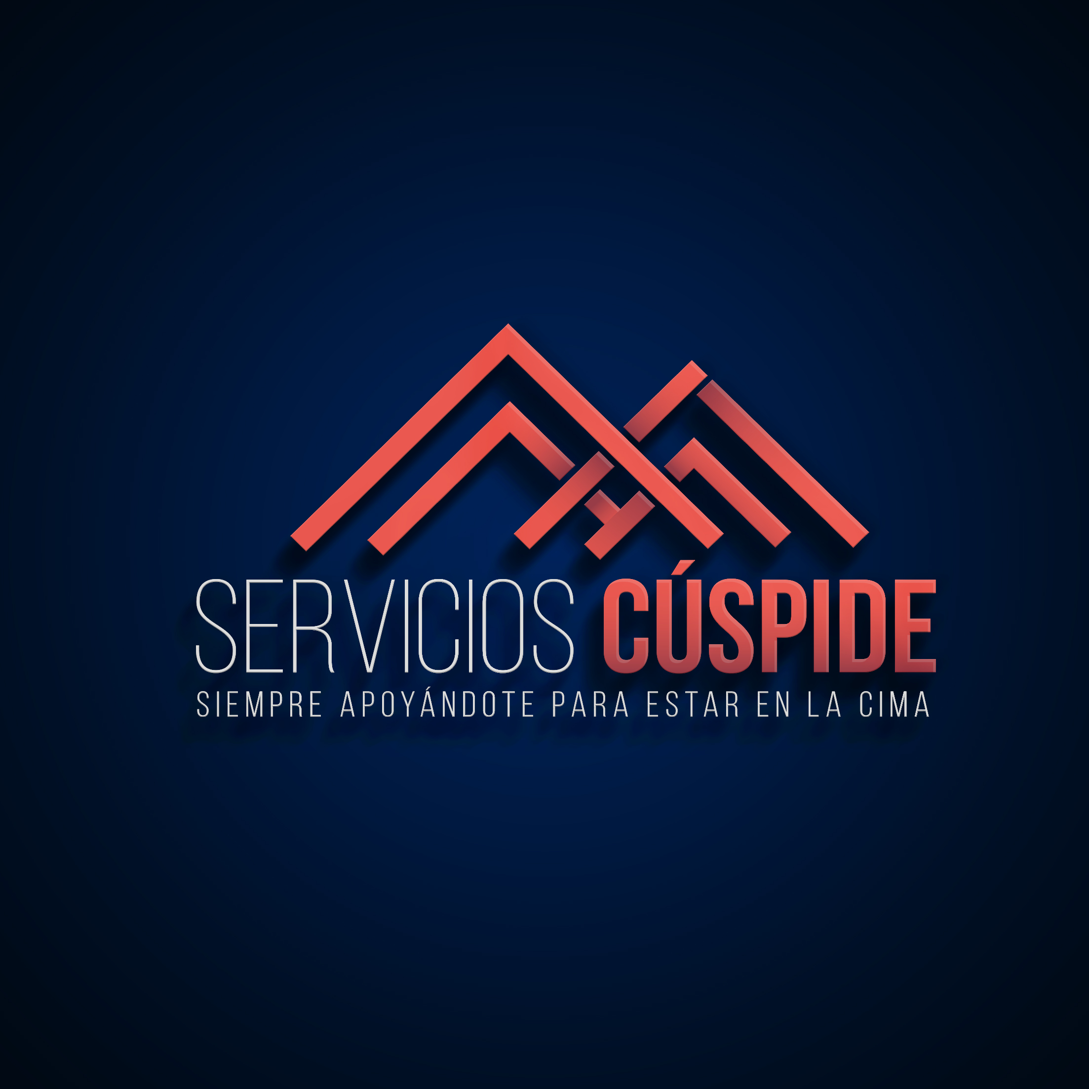 Cielo Raso PVC Alveolar en Cúspide Servicios